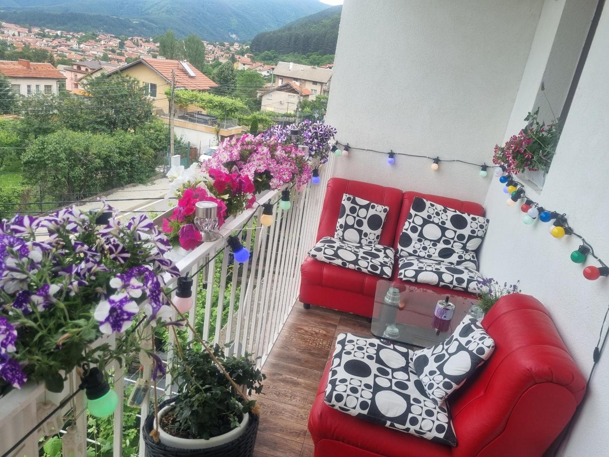 Guesthouse Jasmin Sapareva Banya Exterior photo